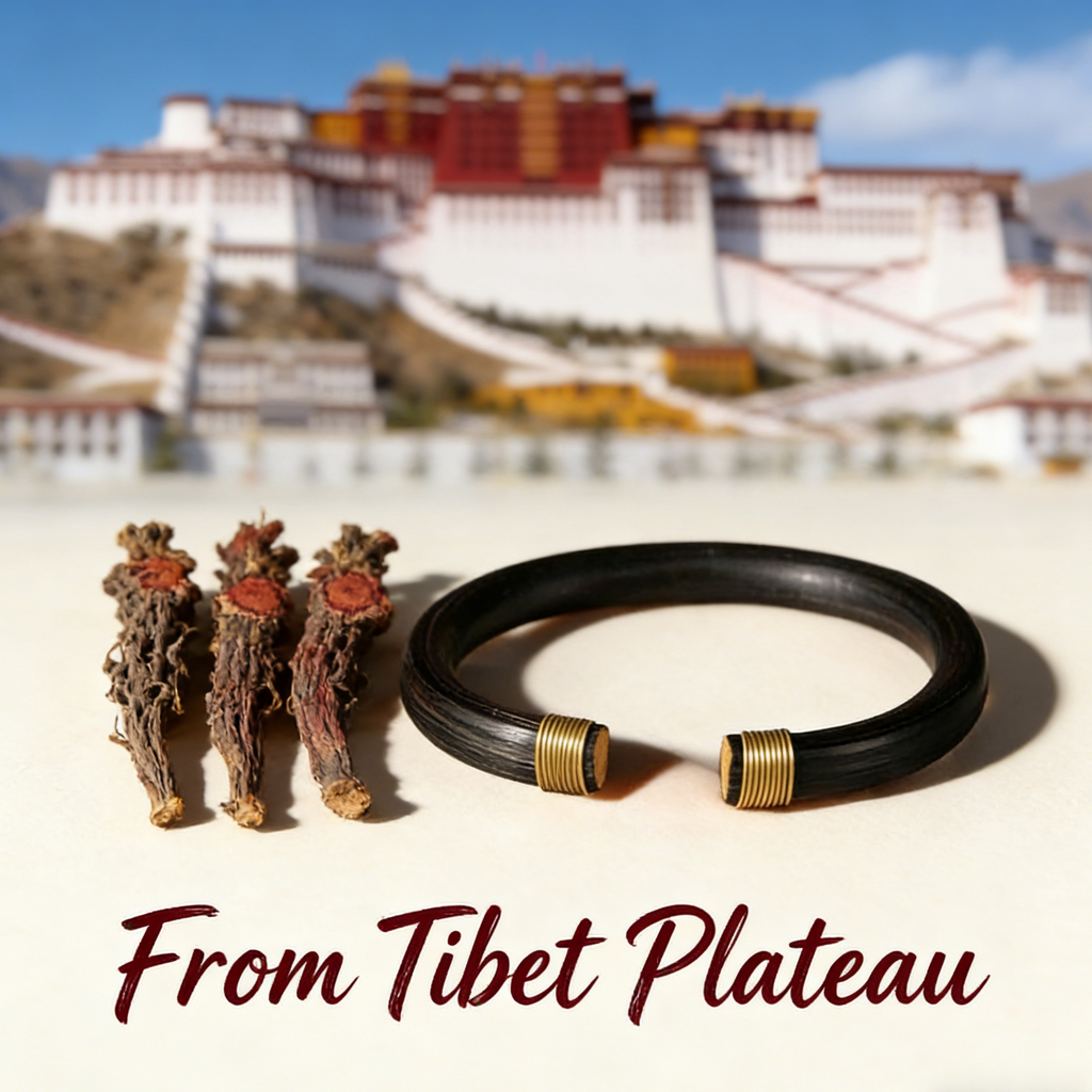 Tibetan Bracelet Chicken Blood Vine Bracelet for Dispelling Dampness, Tibetan Ethnic Bracelet